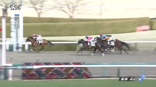 【競馬】2023年　阪神4R　3歳新馬【先行のハサウェイ】