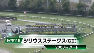 【競馬】2023年 第27回シリウスステークス(GⅢ)【ハギノアレグリアス / 岩田望来】