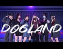 【こもぺのゆりがぶねこさら】DOGLAND / VACHSS cover【踊ってみた】