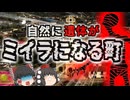 【1960年】『遺体が腐らずミイラになる町』埋めた遺体が腐敗することなくミイラ化する町の謎…目玉まで残るほどの完全な木乃伊【ゆっくり解説】