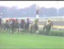 競馬　1996年　百日草特別　クリスザブレイヴ