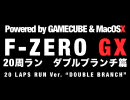 【GC】F-ZERO GX 20周ラン ダブルブランチ篇