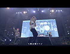 ゴールデンボンバー/かまってちょうだい/// LIVE MV