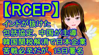 RCEP　中国、韓国主導の東アジア地域包括的経済連携 アメリカ大統領選挙の陰、 大企業最優先の政府が主導する協定に合意　野党は反応薄 尖閣侵入も、知的所有権も、ホワイトリスト除外も棚上げ