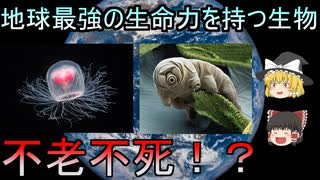 【ゆっくり解説】地球上で最強！？不老不死の能力を持つ生物たち