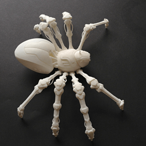 3D Spider Bot