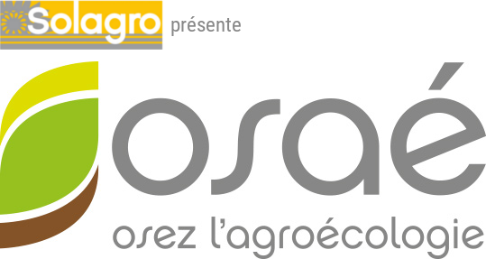 Logo OSAÉ