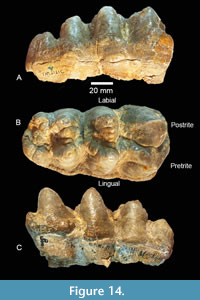 s figure14