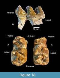 s figure16