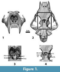 s figure1