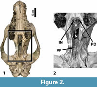 s figure2