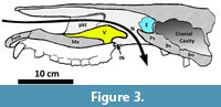 s figure3