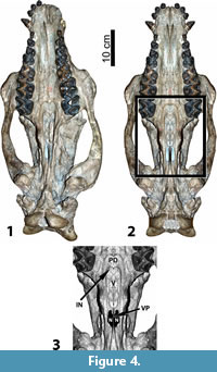 s figure4