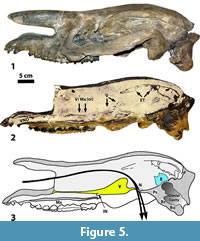 s figure5