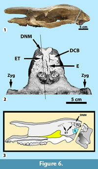 s figure6