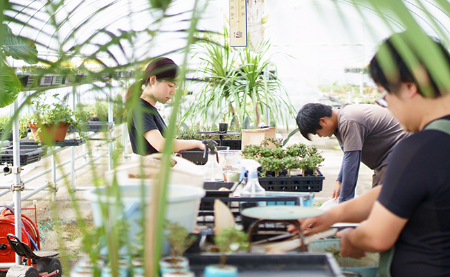 植物を育てている様子