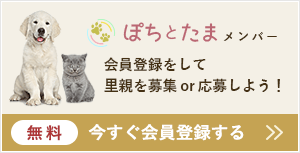 ぽちとたまメンバー無料会員登録 会員登録をして里親を募集or応募しよう！