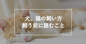 犬、猫の飼い方 飼う前に読むこと