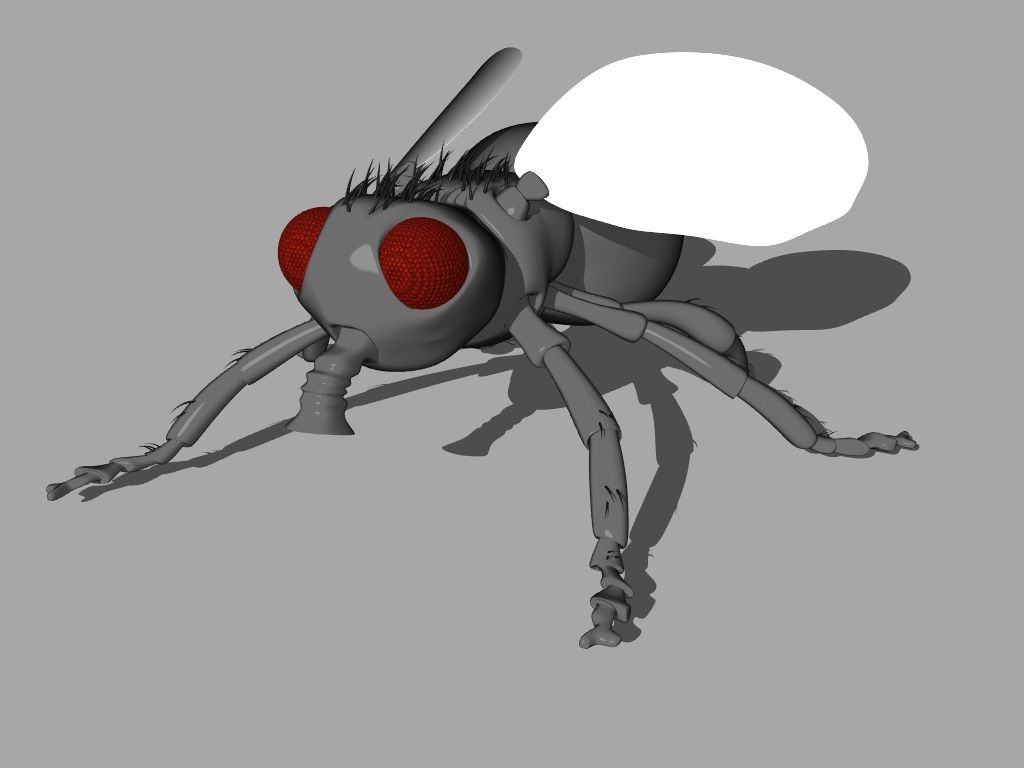 Flyga 3d model