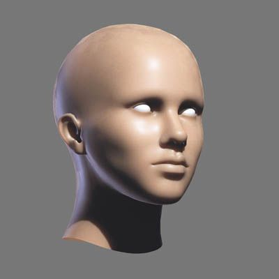 Female Head 3d model