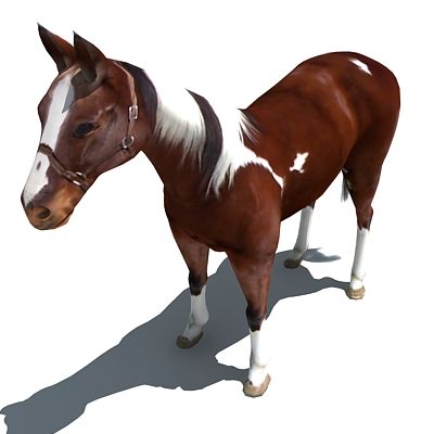 Horse 3d model