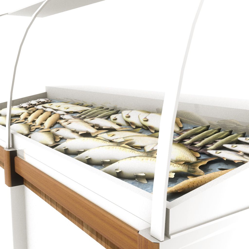 Deli Fish Counter 3d model