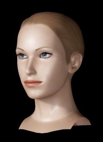 Female Head 3d model