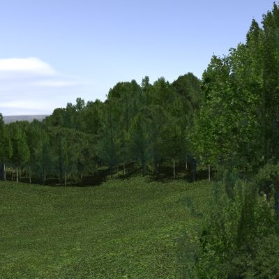 Forest lined grassy terrain 3d model