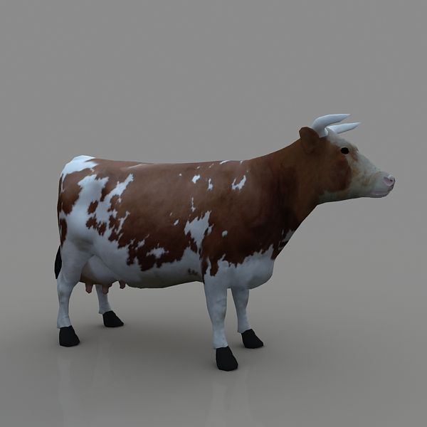 Mucca royalty-free 3d model - Preview no. 2