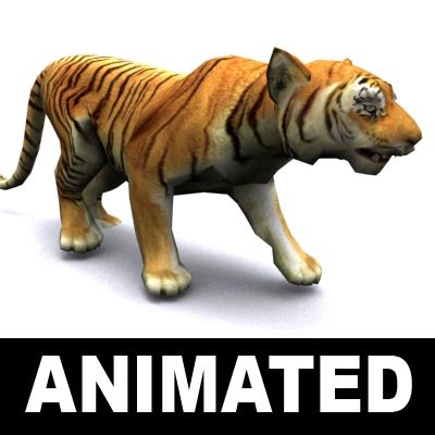 Tiger animated 3d model