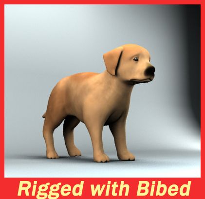 puppy 3d model