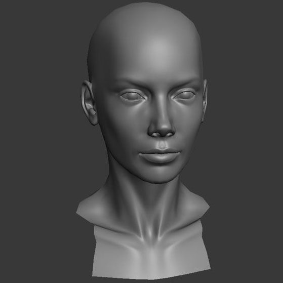 Head Female - Base Mesh 3d model