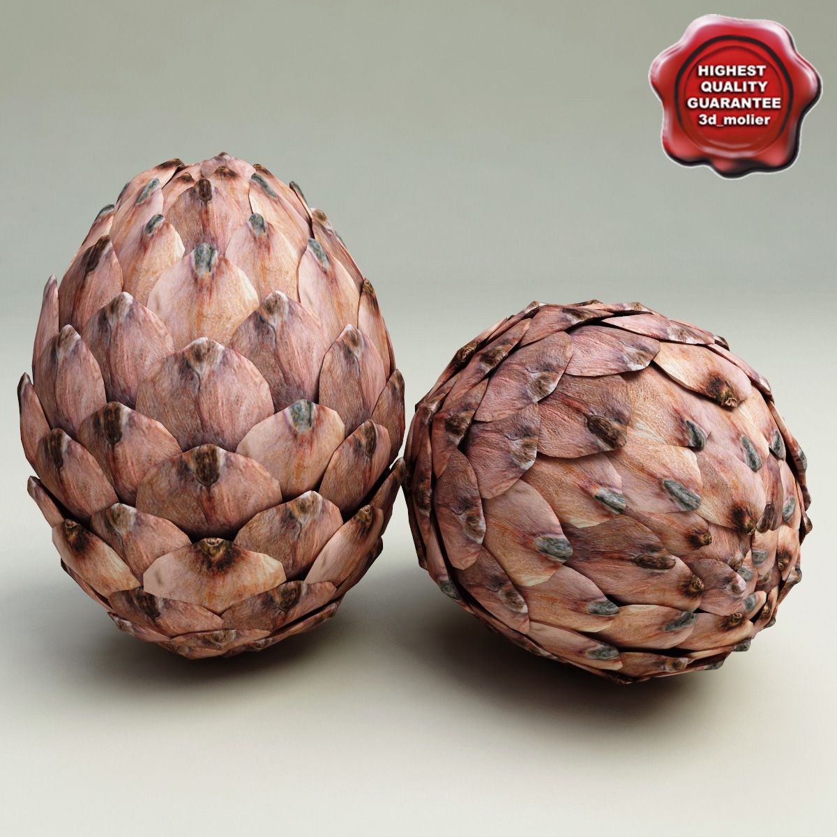 Fir Cone 3d model