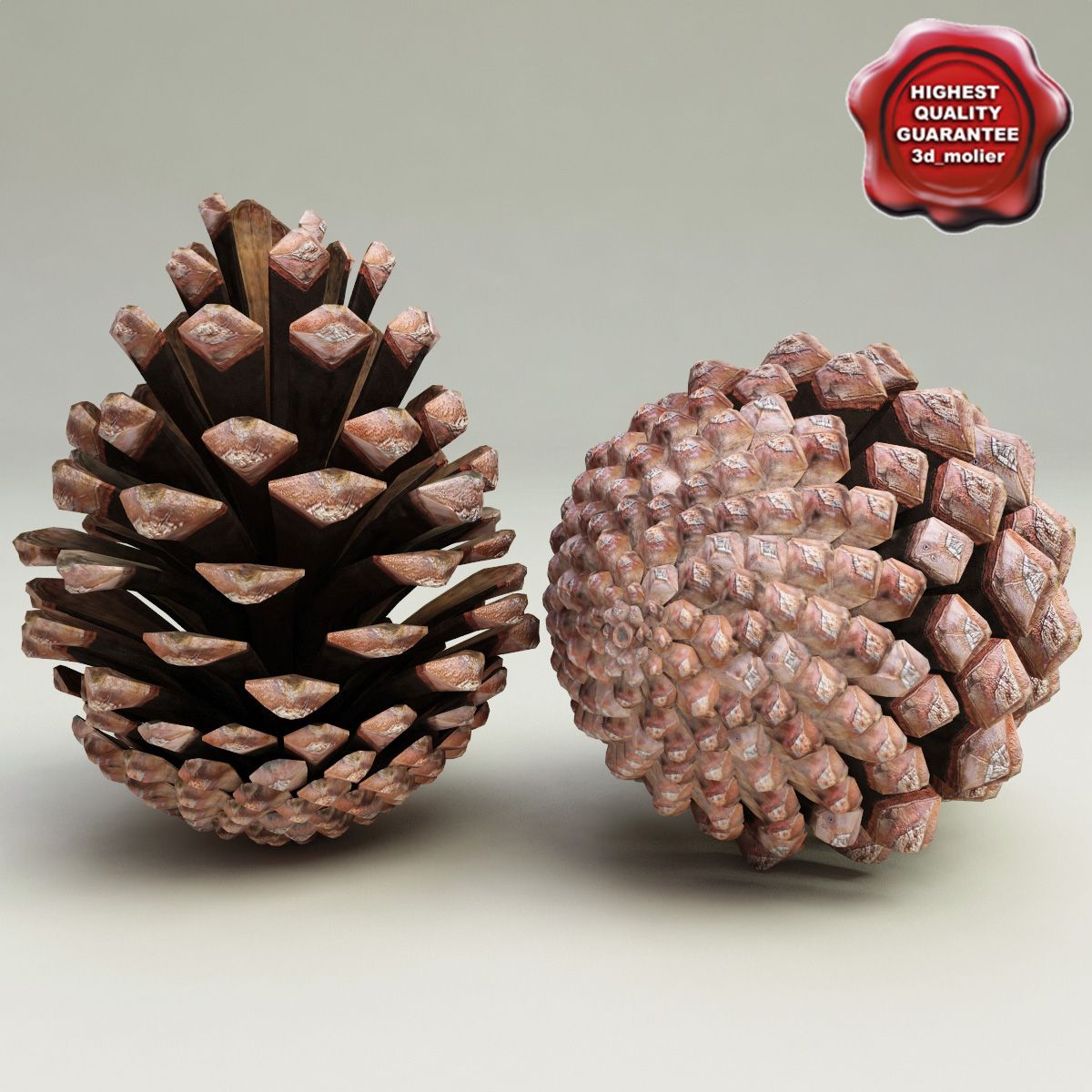 Fir Cone V2 3d model