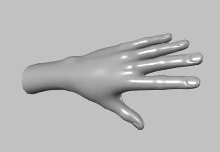 Hand 3d model