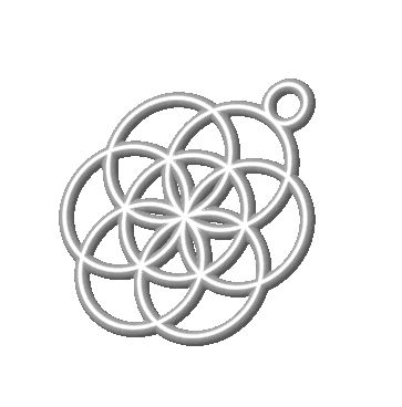 Flower Of Life 10mm 3d model