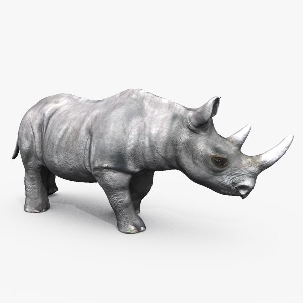 Rhino 3d model