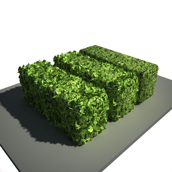 hedge 3d model