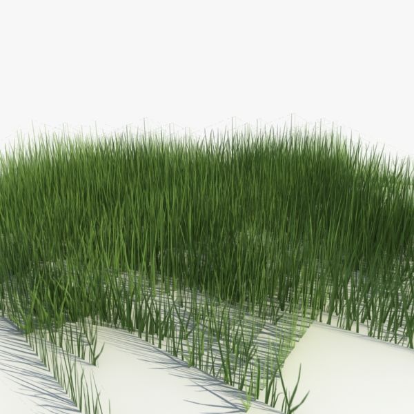 Low Poly Grass (1) 3d model