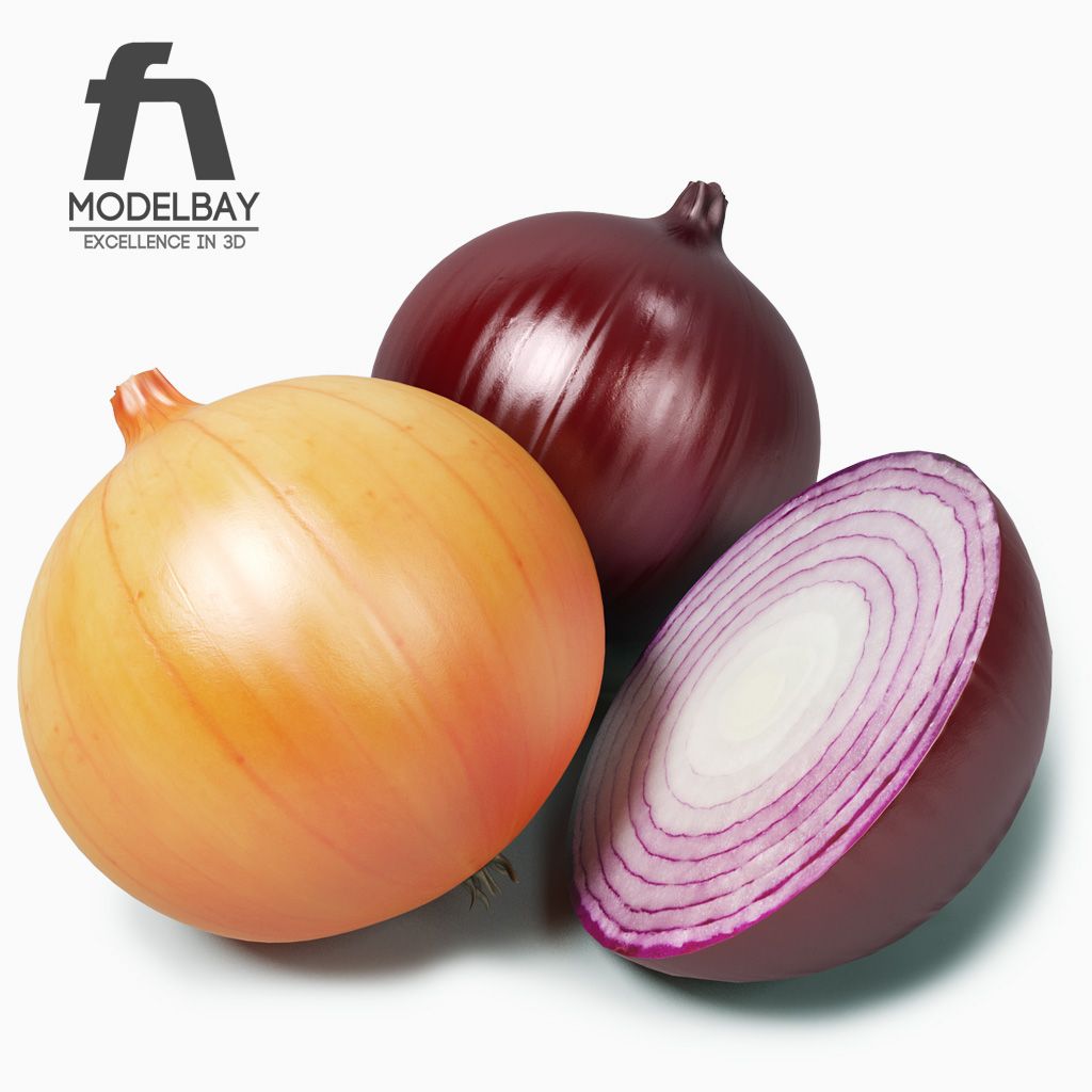 Onion 3d model