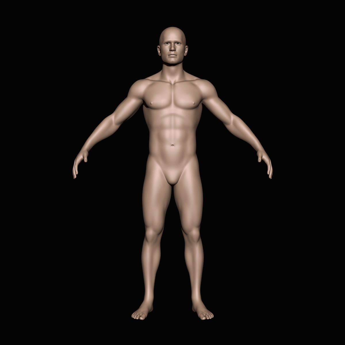 Cuerpo humano modelo 3d