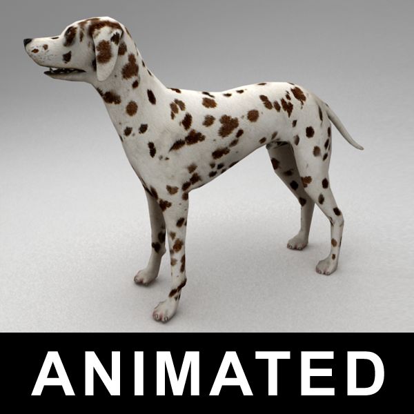 Dalmatian rigged 3d model