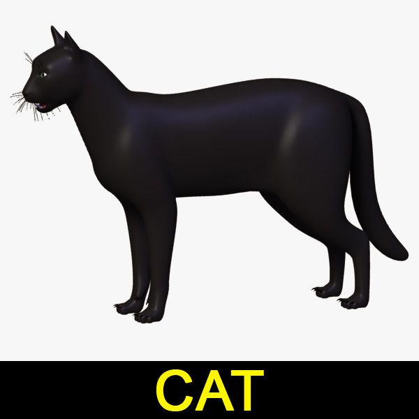 Cat 3d model