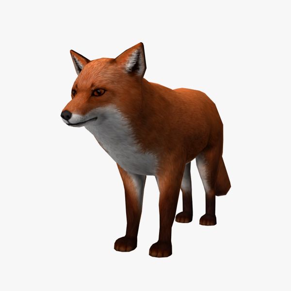 Fox 3d model