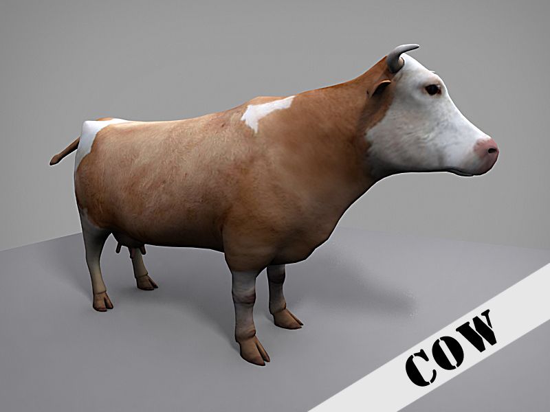 Mucca 3d model