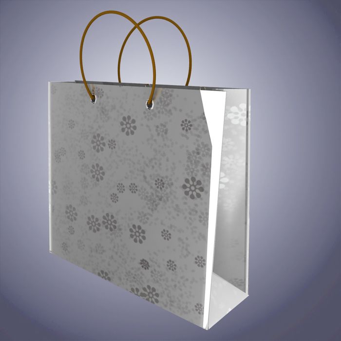 Gift Bag 02 3d model