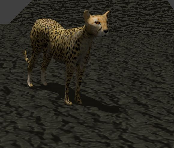 Cheetah 3d model