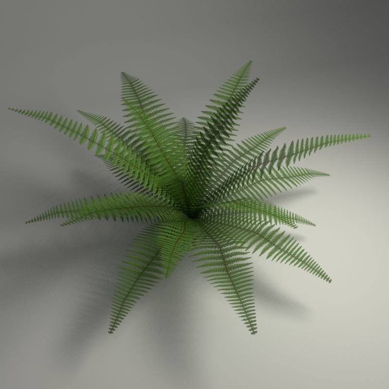 Fern 3d model