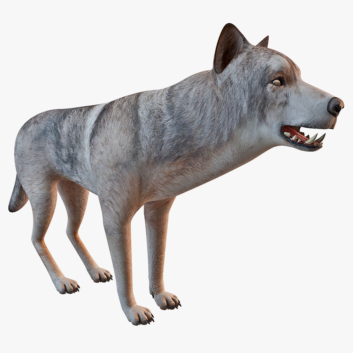 Lobo modelo 3d