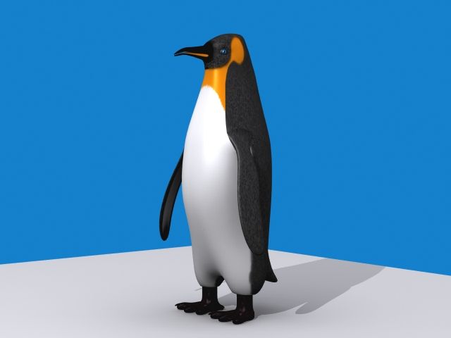 Imperador pinguim 3d model